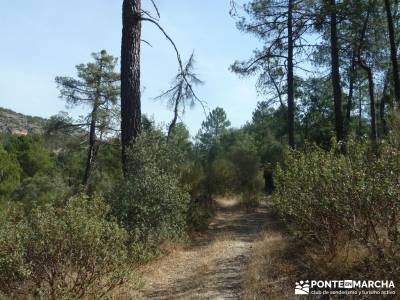 Cañones del Río Cega y  Santa Águeda  – Pedraza;nacimiento rio manzanares grupos de senderismo 